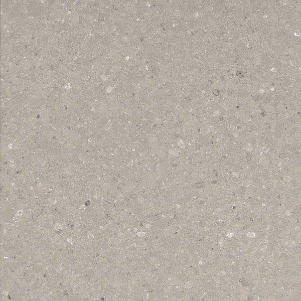 4230-Shitake