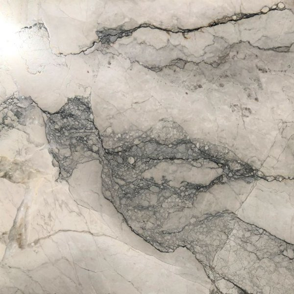 Camouflage White