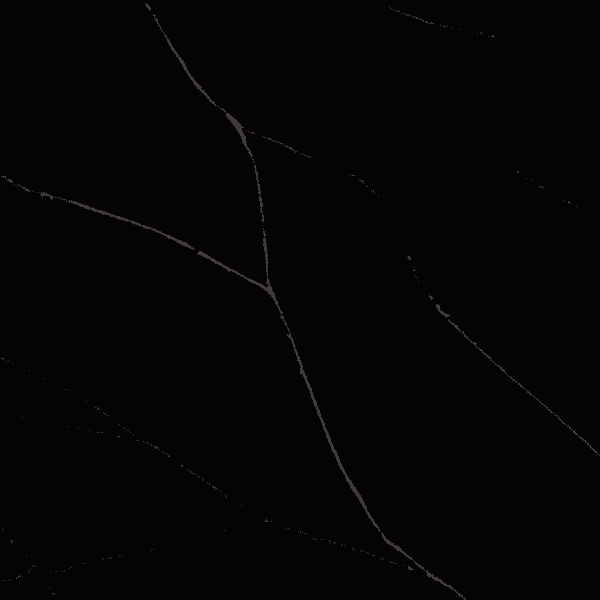 Noblesse Black